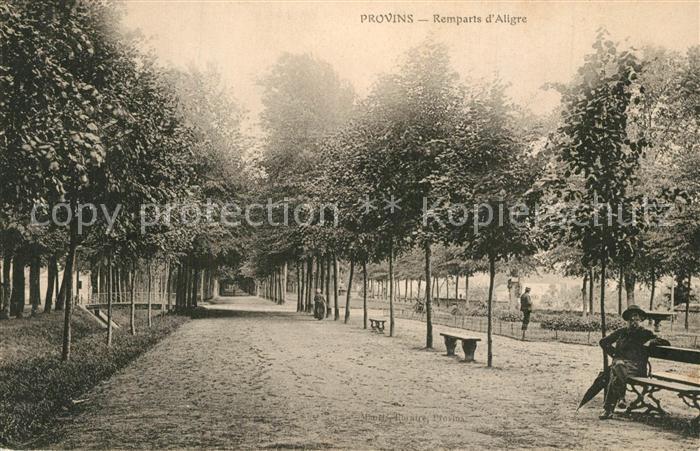 Provins Remparts d Aligre