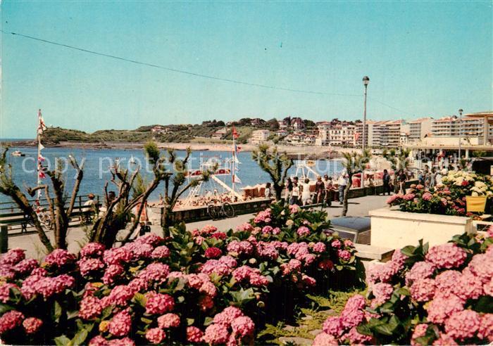 Saint-Jean-de-Luz Plage Hortensias Promenade Sainte-Barbe