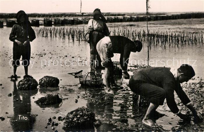 Arcachon Gironde Bassin Pêche aux huîtres
