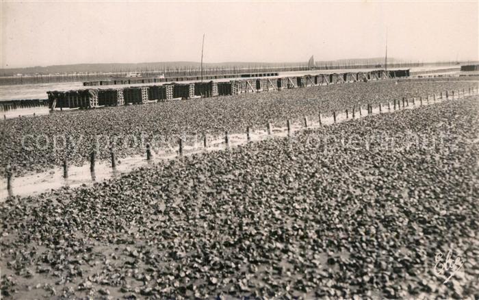 Bassin d Arcachon Travaux Ostréicoles Parc a huîtres au fond les Collecteurs d A