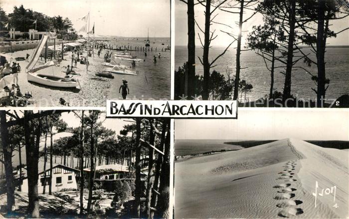 Bassin d Arcachon Plage du Moulleau Contre jour sur le bassin Villa dans les pin