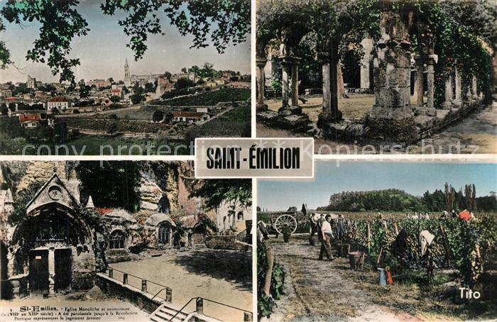 Saint-Emilion Vue Generale Clos de Cordeliers Eglise Vendanges