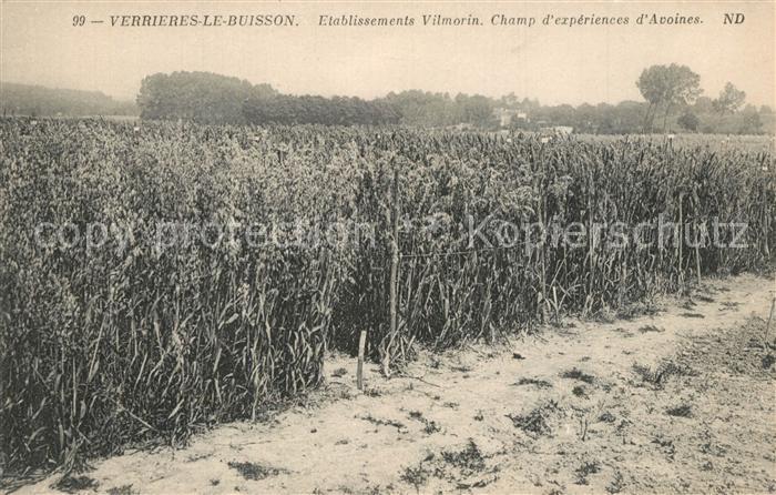 Verrieres-le-Buisson Etablissements Vilmorin Champ d expériences d'Avoines