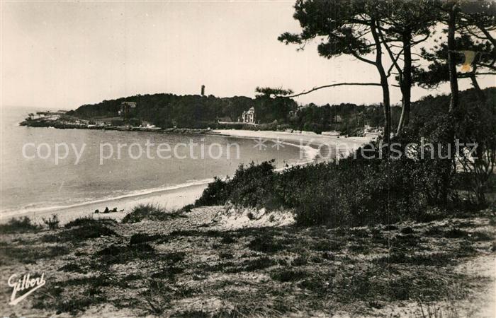 Royan 17 Saint Palais Pointe de Terre Negre