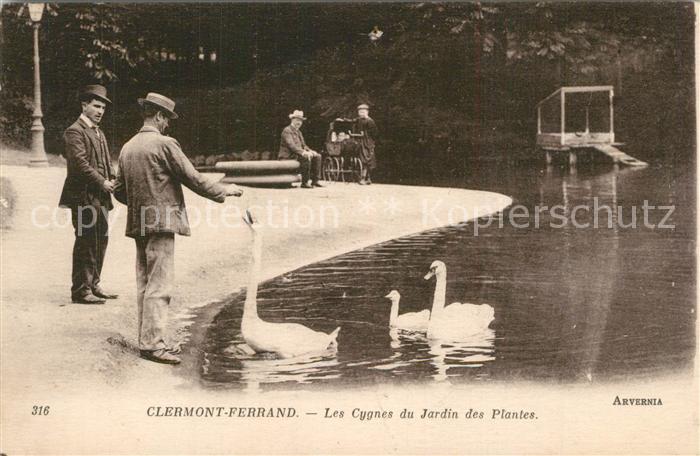 Clermont-Ferrand Les Cygnes du Jardin des Plantes