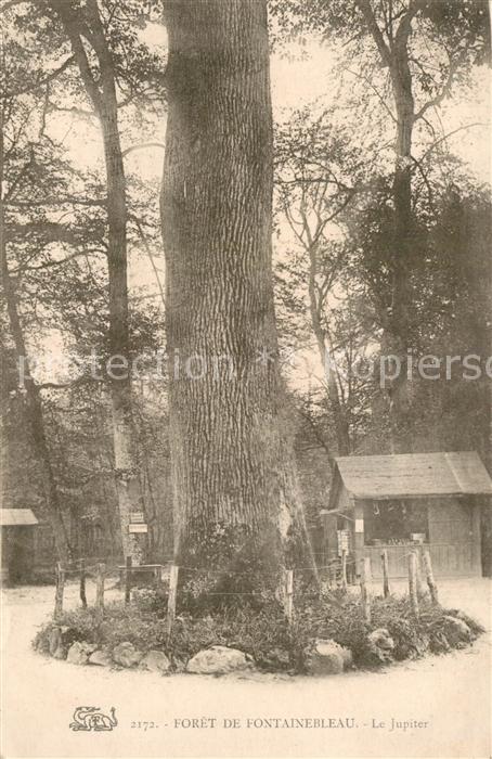 Fontainebleau Seine et Marne Le Jupiter