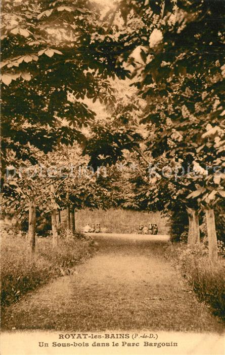 Royat les Bains Un Sous-bois dans le Parc Bargouin