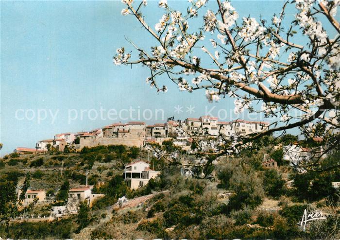 Le Castellet Var Panorama