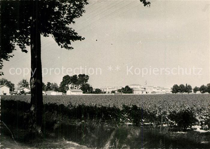 Saint-Jean-de-Vedas En Languedoc dans le Village