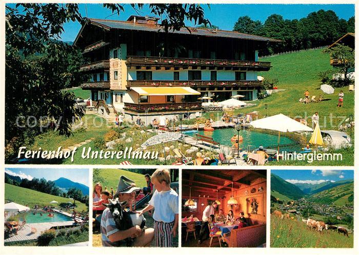 Hinterglemm Saalbach Ferienhof Unterellmau Swimming Pool Almvieh Landschaftspano