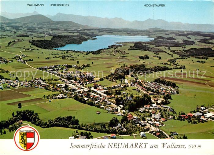 Neumarkt Wallersee Fliegeraufnahme mit Camping Minigolf Strandbad Bootshafen