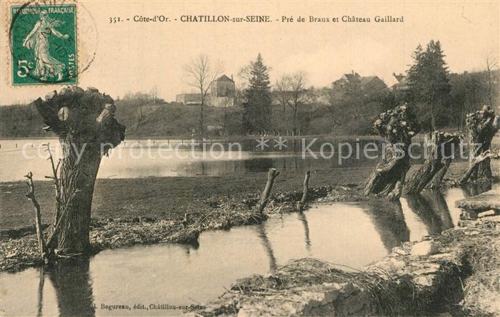 Chatillon-sur-Seine Pre de Braux et Chateau Gaillard