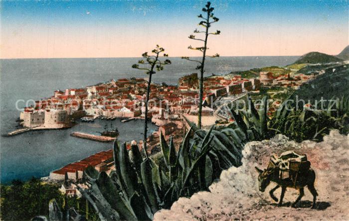 Dubrovnik Ragusa Panorama
