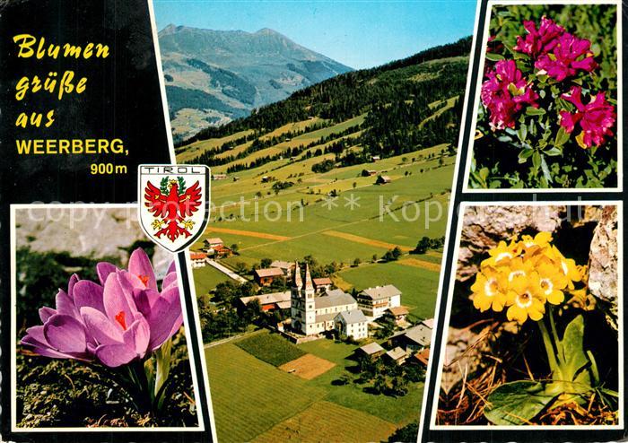 Weerberg Fliegeraufnahme mit Kellerjoch Alpenflora