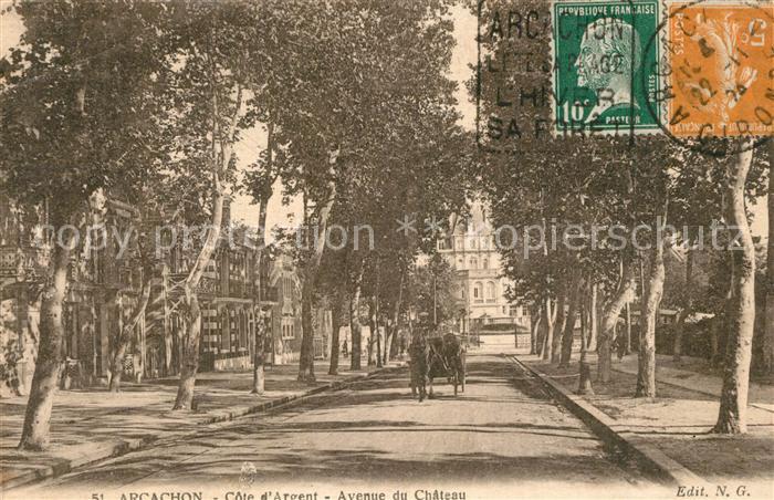 Arcachon Gironde Cote d’Argent Avenue du Chateau