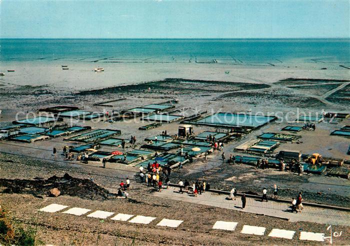 Cancale Les parcs a huitres