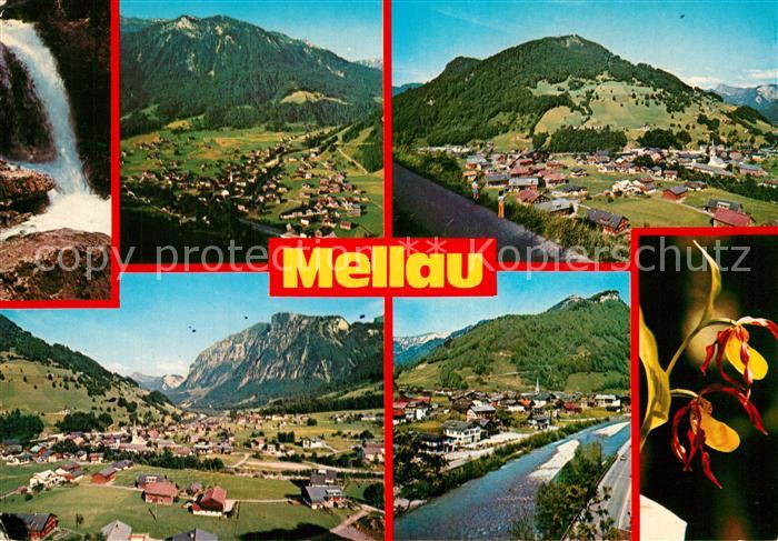 Mellau Vorarlberg Panorama Bregenzerwald Wasserfall Pflanzen Frauenschuh