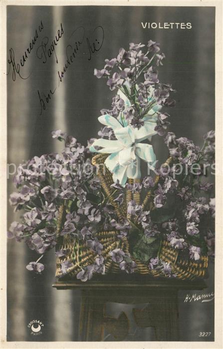 Blumen Violettes Veilchen
