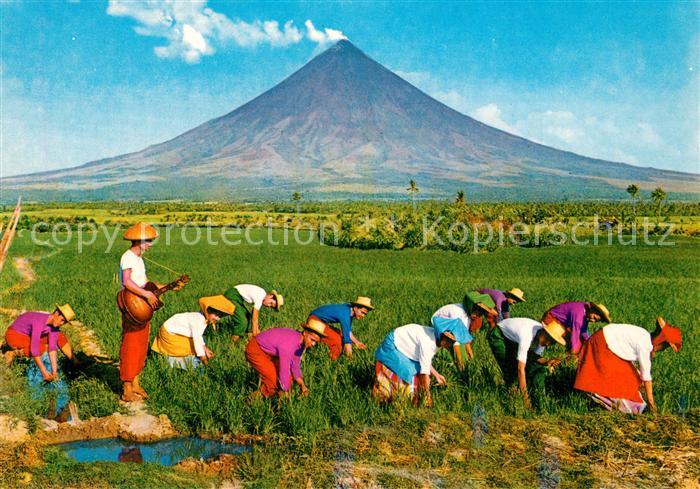 Landwirtschaft Pagtatanim NG Palay Rice planting Guita