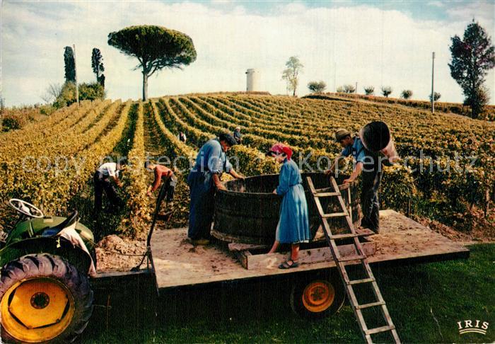 Ernte Landwirtschaft Weinlese Frankreich