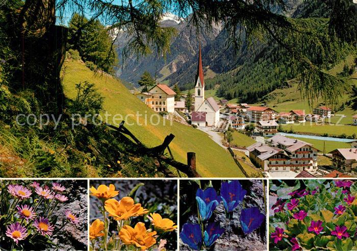 Soelden oetztal Panorama Alpiner Luftkurort Alpenflora oetztaler Alpen