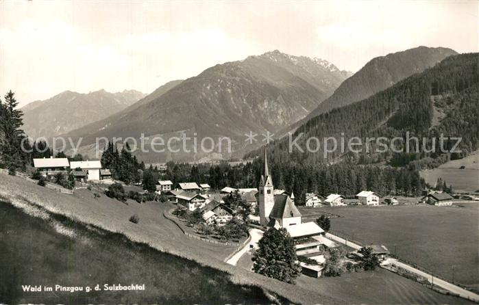 Wald Pinzgau Panorama Sulzbachtal Alpen