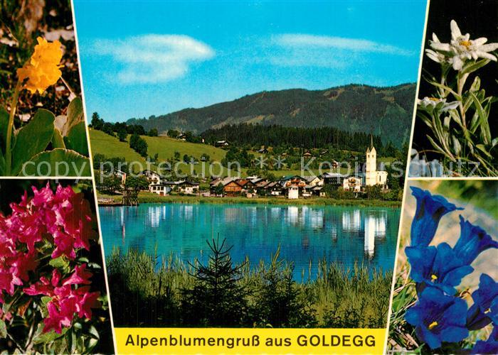 Goldegg Partie am See Sommerfrische Alpenflora
