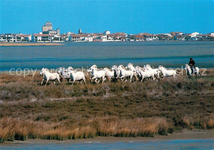 Camargue Manade aux Saintes Maries de la Mer