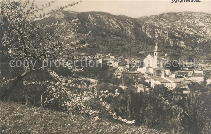 Valldemosa Kirche Pnanorama