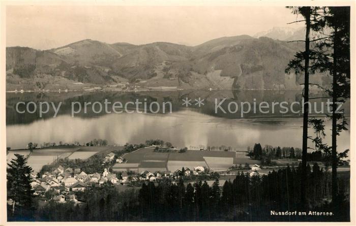 Nussdorf Attersee Panorama
