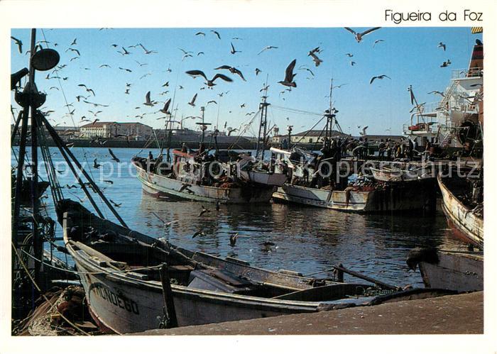 Figueira da Foz Hafen Moewen
