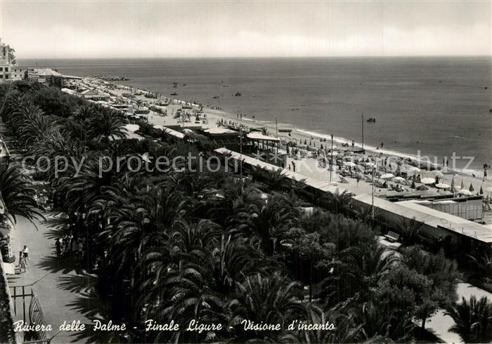 Finale Ligure Visione d incanto Palmen