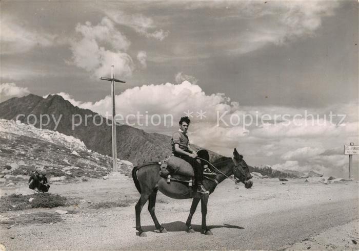 Calacuccia Route a Evisa Col de Vergio