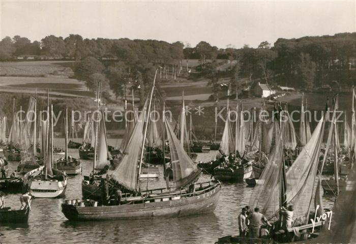 Douarnenez Sardiniers au port