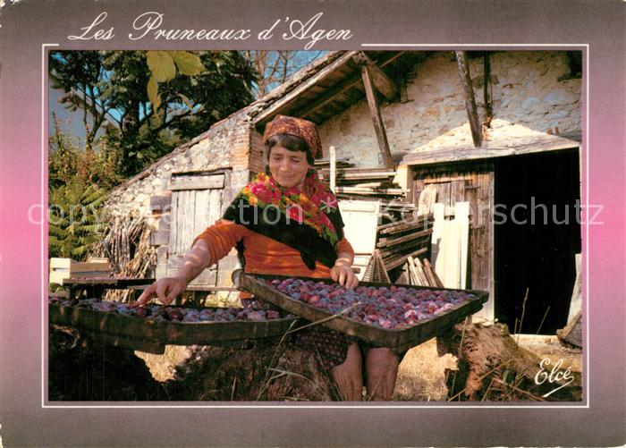 Agen Lot et Garonne Les pruneaux d_Agen