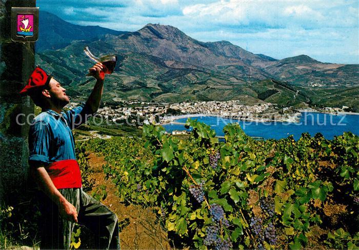 Banyuls-sur-Mer Vue Generale depuis les coteaux surplombant la baie