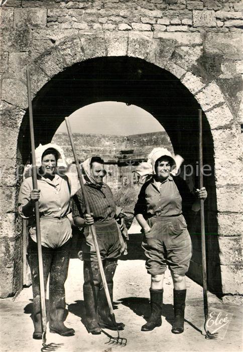 Ile d Oleron Le Retour des Parcs