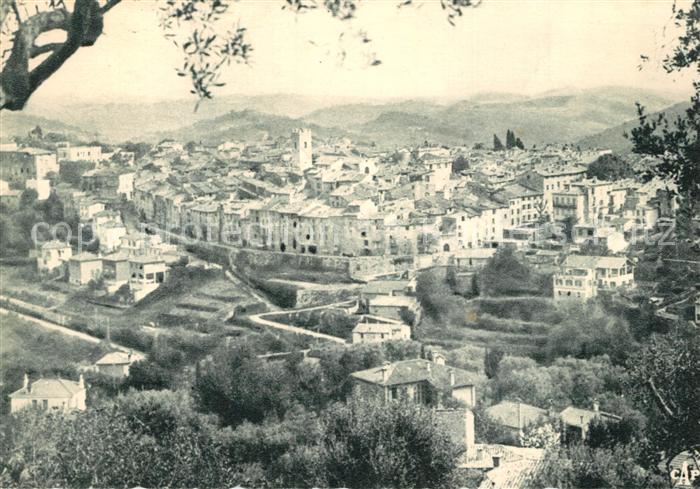 Vence-la-Jolie Vue a travers les oliviers