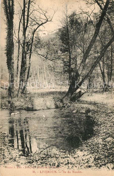 Liverdun Ile du Moulin