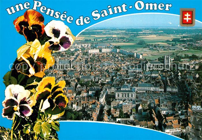 Saint-Omer Pas-de-Calais Vue aérienne Fleurs