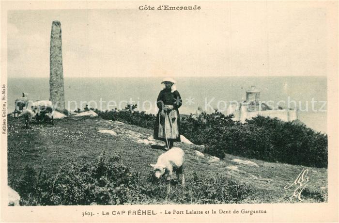 Cap Frehel Cotes d Armor Bretagne Le Fort Lalatte et la Dent de Gargantua