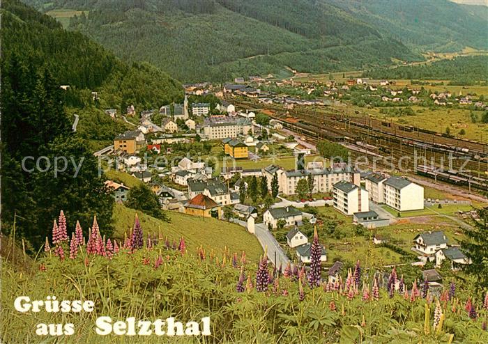 Selzthal Panorama