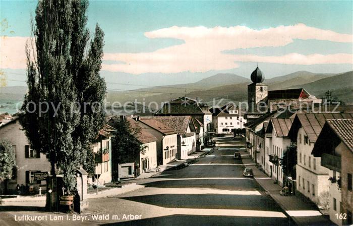 Lam Oberpfalz Stadtansicht Arber
