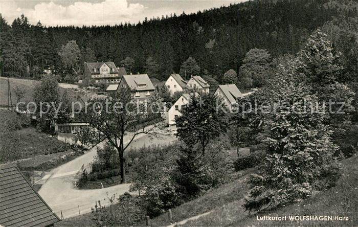 Wolfshagen Harz Panorama