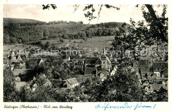 Buedingen Hessen Panorama vom Weinberg