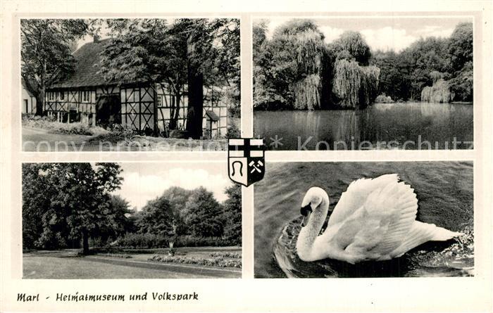 Marl Westfalen Heimatmuseum Schwan Volkspark