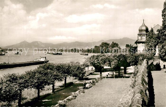 Unkel Rhein Rheinanlagen Siebengebirge