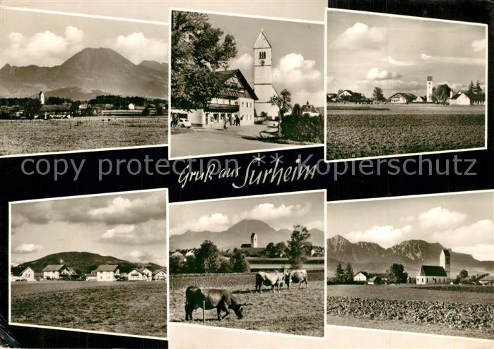 Surheim Panorama Kirche Viehherde