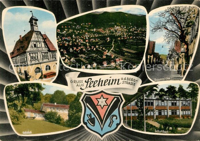 Seeheim-Jugenheim Rathaus Baumbluete Schuldorf Panorama