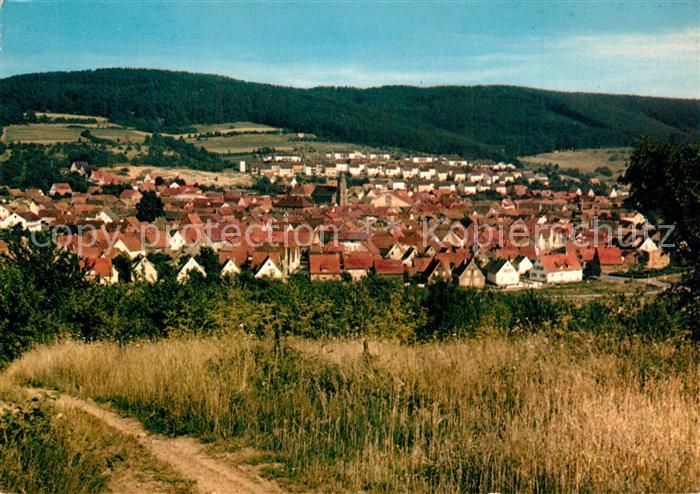 Moemlingen Panorama